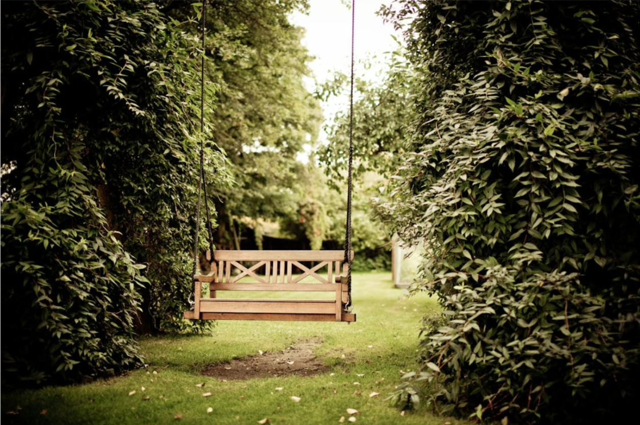 Keeping Your Seattle Backyard Retreat Pest-Free All Year Long