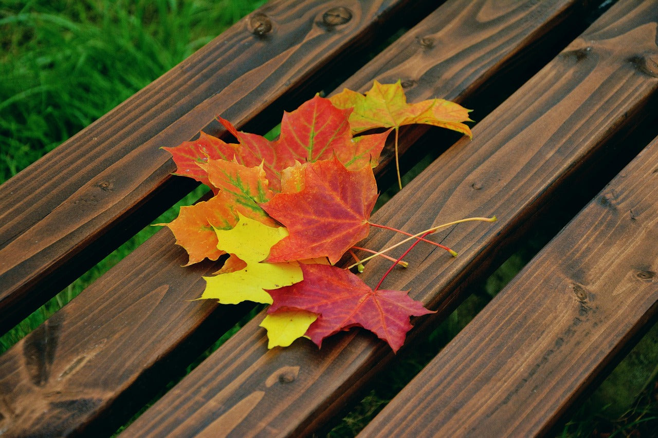 Types and Materials of Memorial Benches: Your Guide to the Ultimate Enduring Tribute