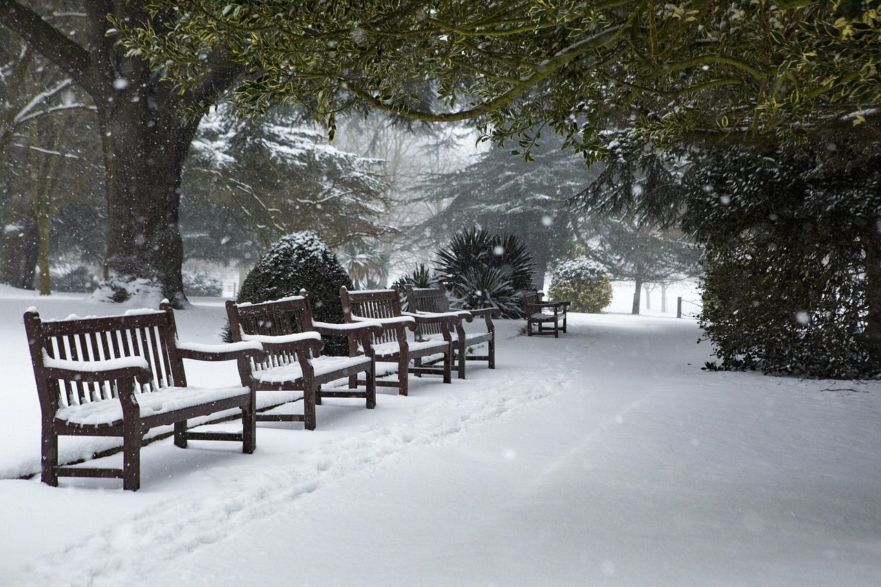 Enduring Tributes: The Lasting Strength of a Memorial Bench for Park