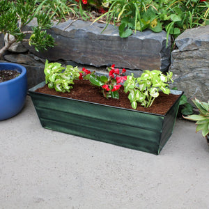 Bloom Box Garden Growing Kit, Medium Green with Odette Stand Achla Designs