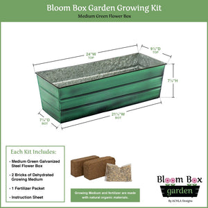 Bloom Box Garden Growing Kit, Medium Green with Odette Stand Achla Designs