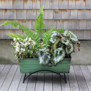 Bloom Box Garden Growing Kit, Small Copper by Achla Designs Achla Designs