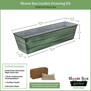 Small Bloom Box Garden Growing Kits – Wall and Clamp-On Bracket Options Achla Designs