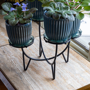 Small Flower Box Tray, Pack of 2 by Achla Designs Achla Designs