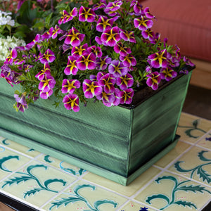 Bloom Box Garden Growing Kit, Medium Green with Wall Brackets Achla Designs