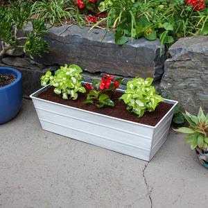 Bloom Box Garden Growing Kit, Medium Green by Achla Designs Achla Designs