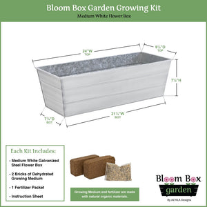 Bloom Box Garden Growing Kit, Medium Green by Achla Designs Achla Designs