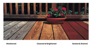 Sun Frog Wood Sealer, Finish & Stain Paint And Stains