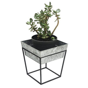 Arne Plant Stand Plant Stands