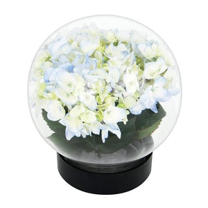 Flower Aquarium Flower Aquarium