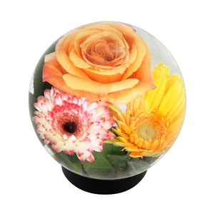 Flower Aquarium Flower Aquarium