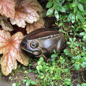 Frog Frog