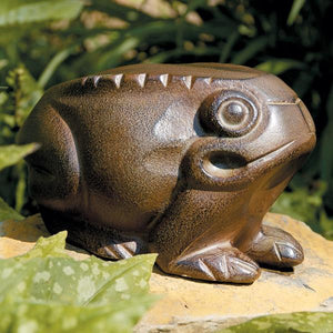 Frog Frog