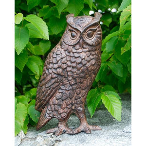 Great Horned Owl Owl