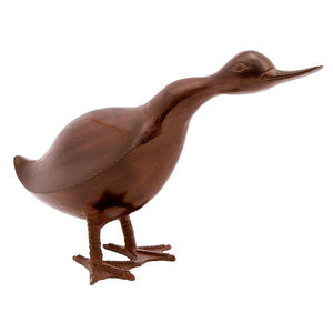 Hello Duck Duck