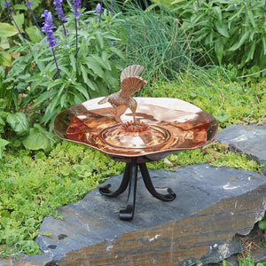 Hummingbird Birdbath Birdbath