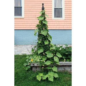 Obelisk