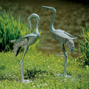 Preening Crane Pair Crane Pair
