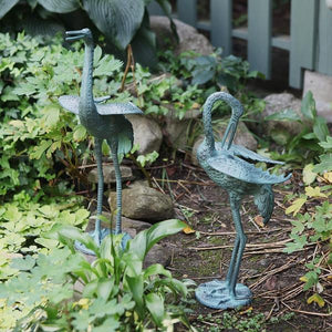 Preening Crane Pair Crane Pair