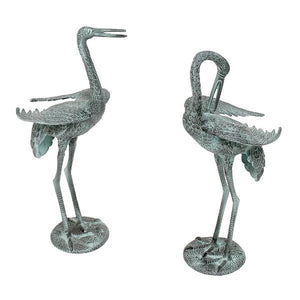 Preening Crane Pair Crane Pair