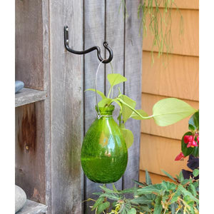 Rooting Vase Vase