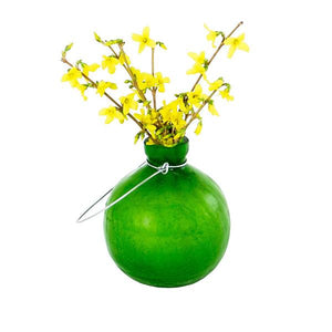 Rooting Vase Vase