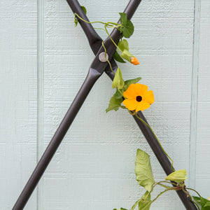 Wall Mounted Lattice Trellis Garden Trellis
