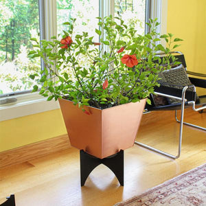 Zaha Planters with Copper Plated Boxes Plated Boxes