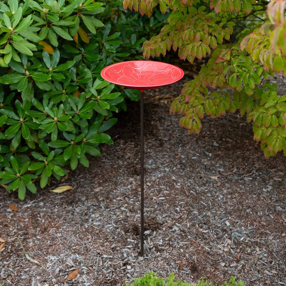 12" Lolly Embossed Birdbaths with Garden Stake Birdbath