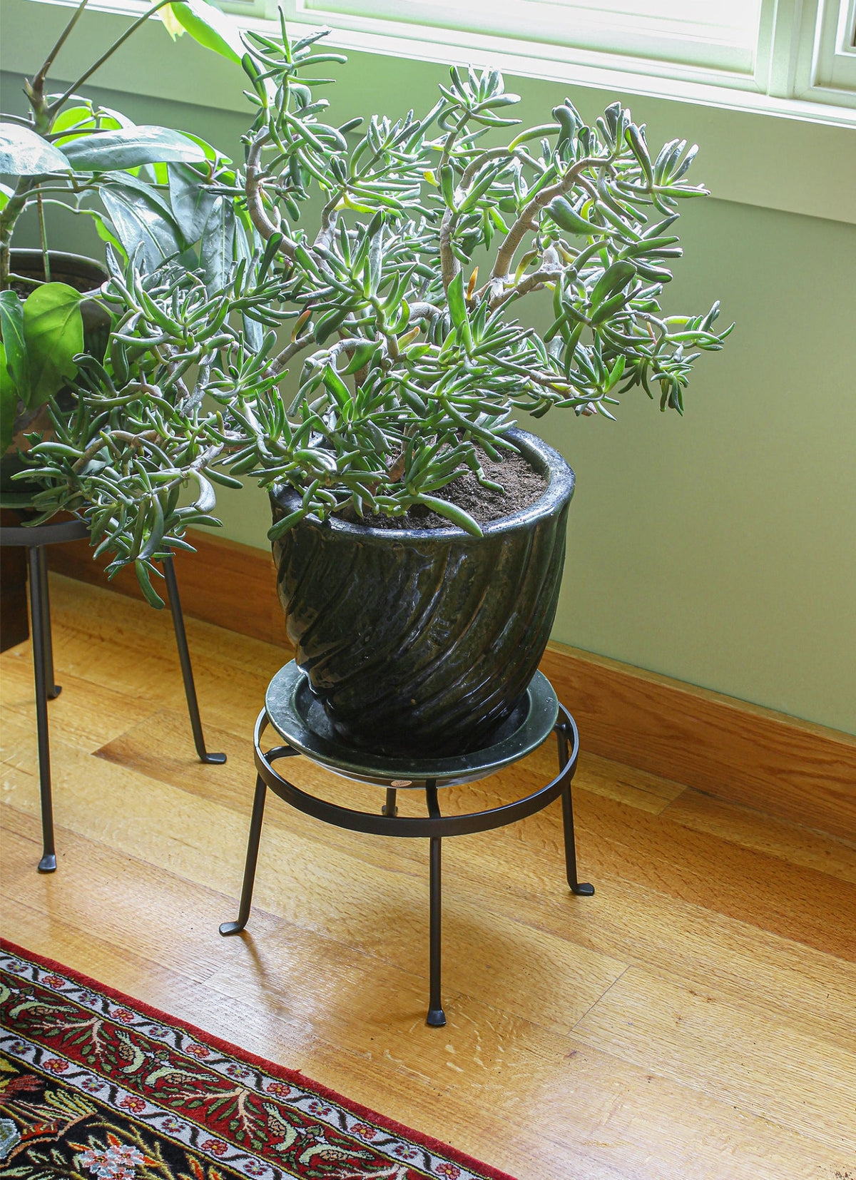 Piazza Plant Stands, Set of Two by Achla Designs Achla Designs