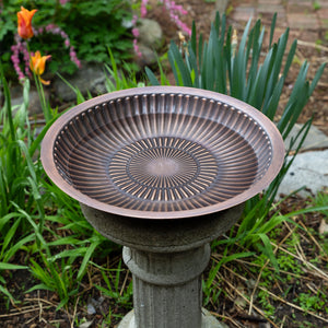 Aster Birdbath Birdbath Bowls