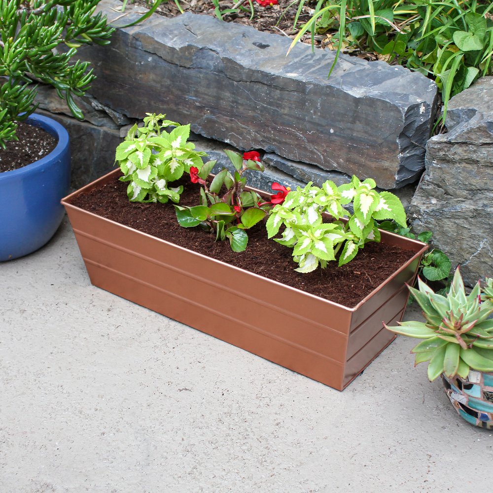 Medium White Bloom Box Garden Growing Kit with Clamp-On Brackets – A Versatile and Stylish Gardening Solution Achla Designs