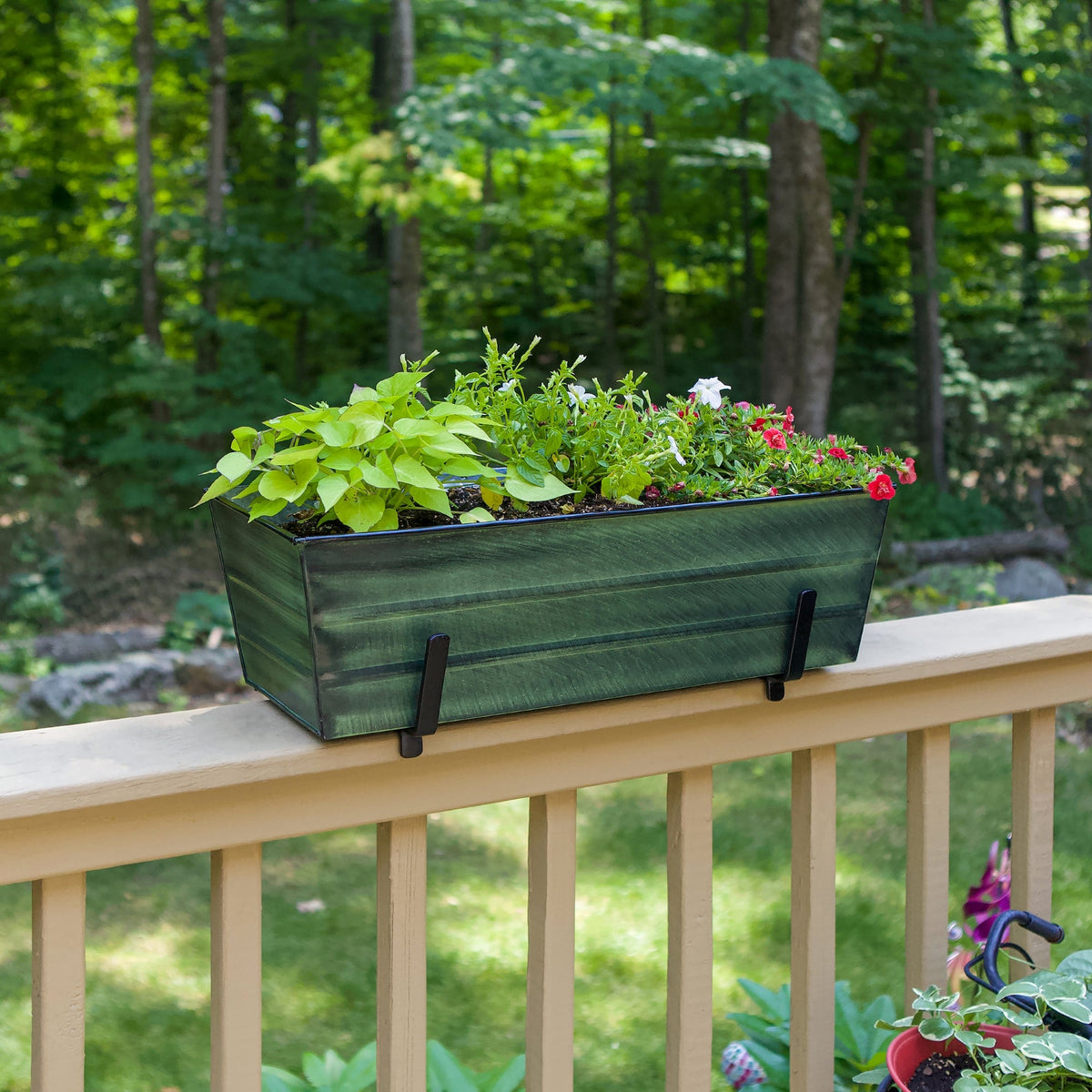 Bloom Box Garden Growing Kit, Medium Green with Clamp-On Brackets Achla Designs