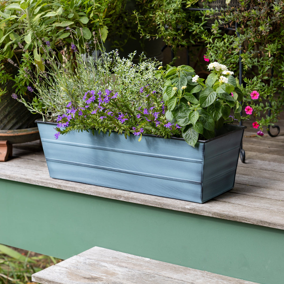 Bloom Box Garden Growing Kit, Medium White with Brackets for 2 x 6 Railings Achla Designs