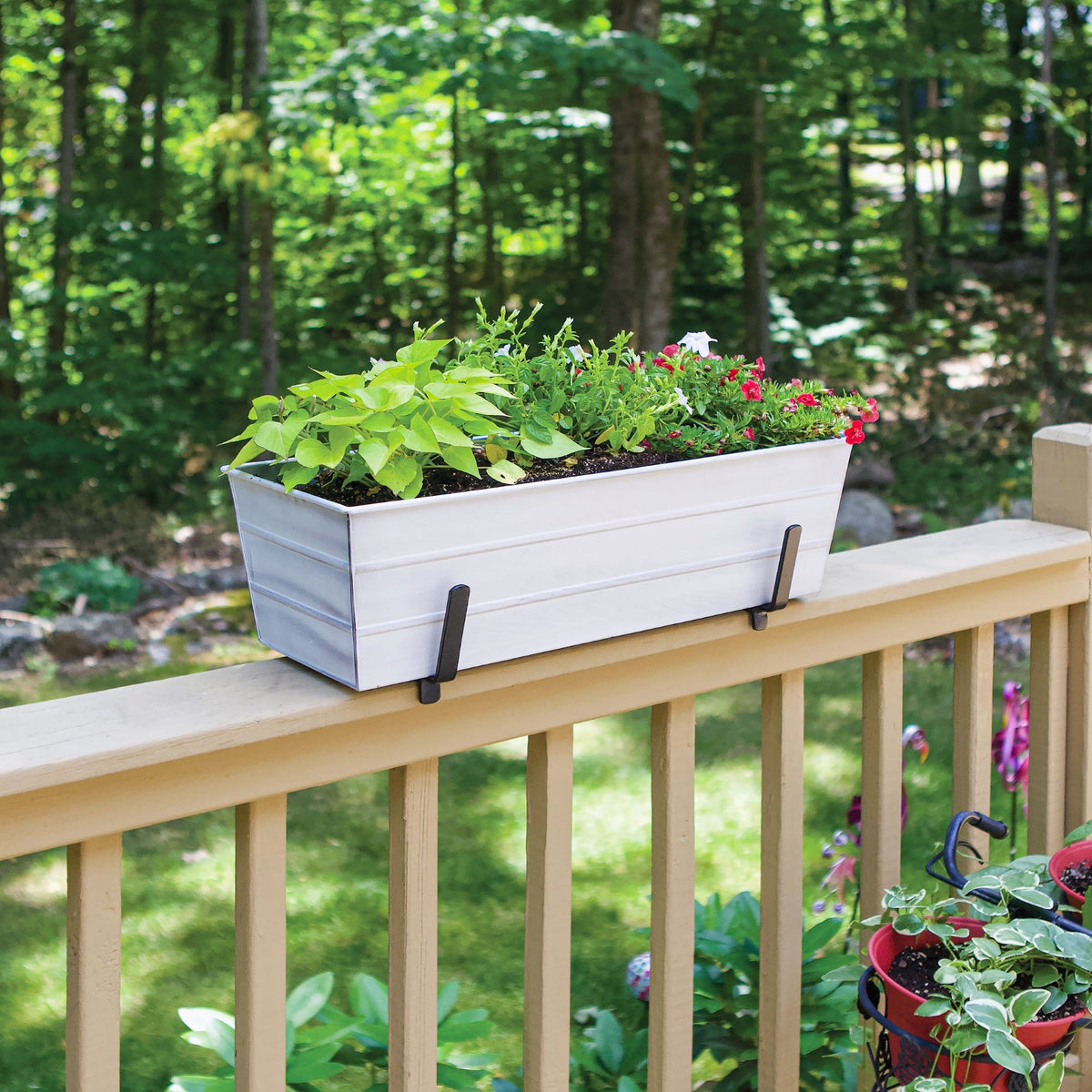Bloom Box Garden Growing Kit, Medium Green with Brackets for 2 x 6 Railings Achla Designs
