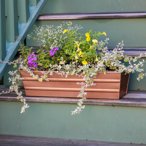 Bloom Box Garden Growing Kit, Small Green with Brackets for 2 x 4 Railings Achla Designs
