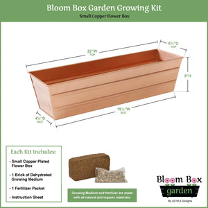 Bloom Box Garden Growing Kit, Small Green with Brackets for 2 x 4 Railings Achla Designs