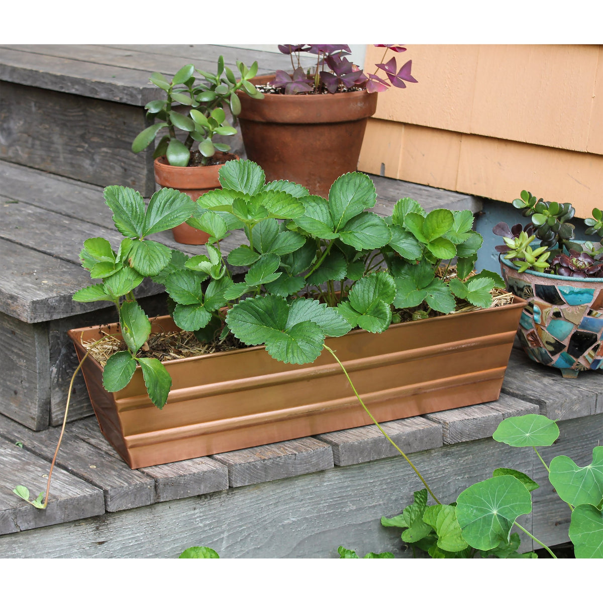 Bloom Box Garden Growing Kit, Small Green with Brackets for 2 x 4 Railings Achla Designs