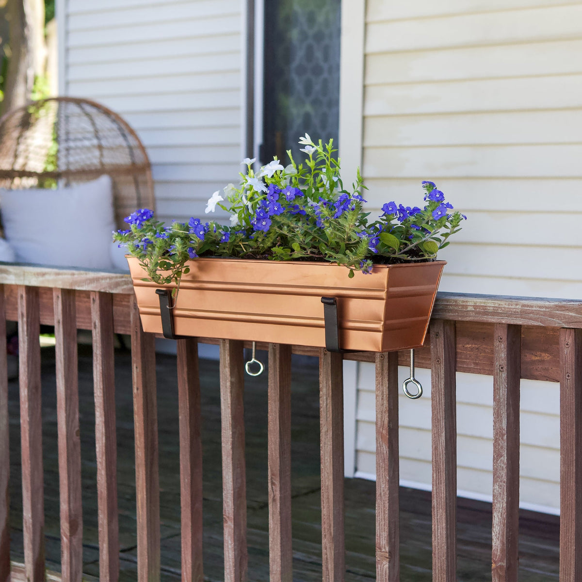 Bloom Box Garden Growing Kit with Wall Brackets Achla Designs