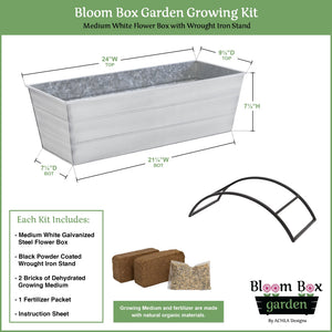 Bloom Box Garden Growing Kit with Odette Stand Flower Box Brackets