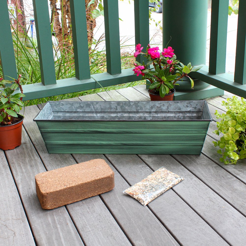Small Bloom Box Garden Growing Kits – Wall and Clamp-On Bracket Options Achla Designs