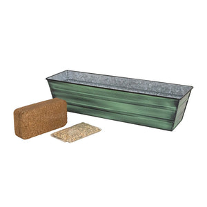 Small Bloom Box Garden Growing Kits – Wall and Clamp-On Bracket Options Achla Designs
