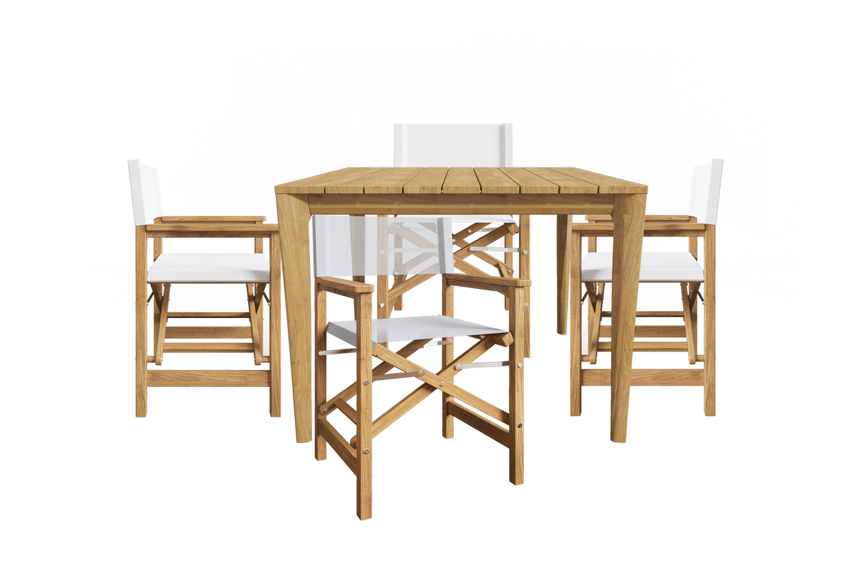 Cateline 5-Piece Square Teak Outdoor Dining Set in White with Folding Armchairs Outdoor Dining Set