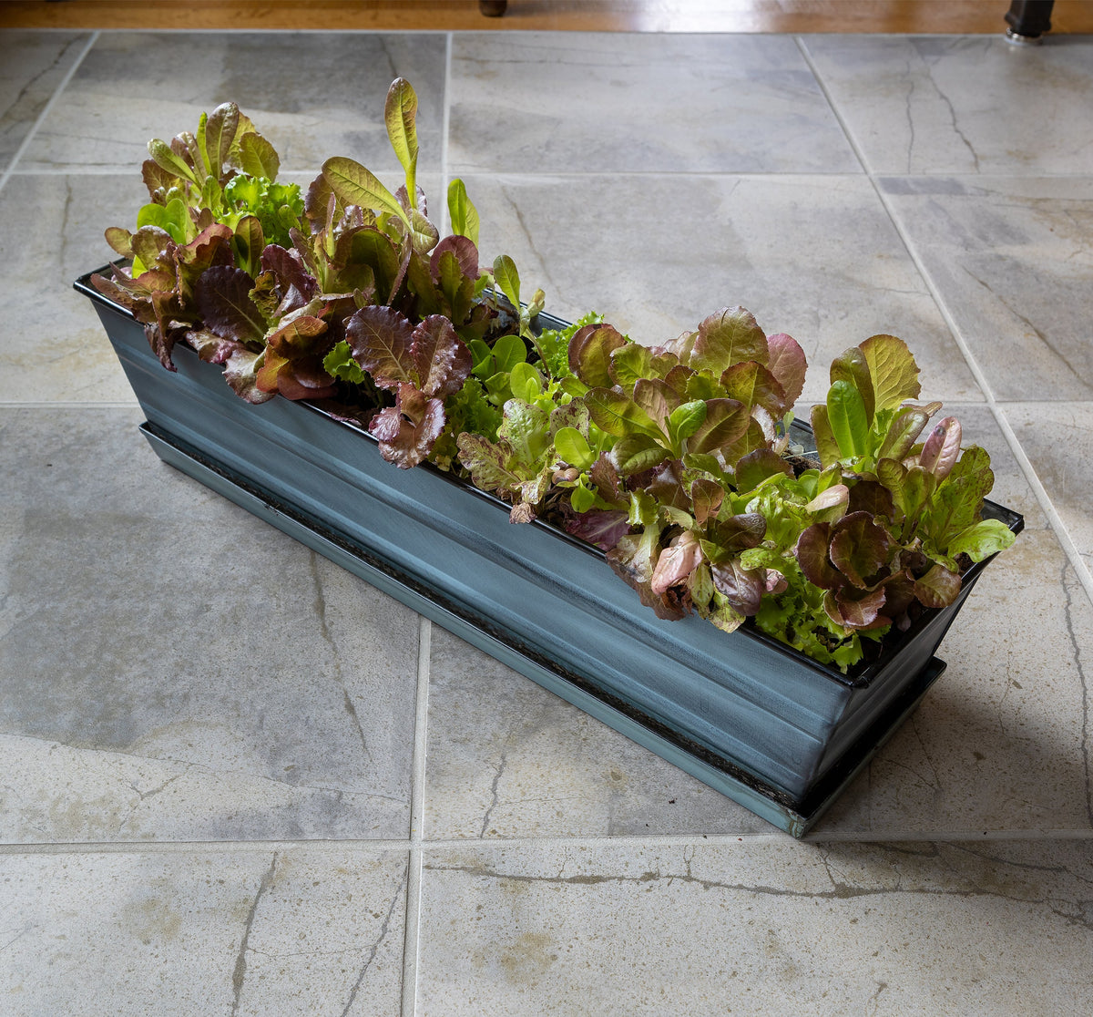 Bloom Box Garden Growing Kit, Medium Copper with Clamp-On Brackets Achla Designs