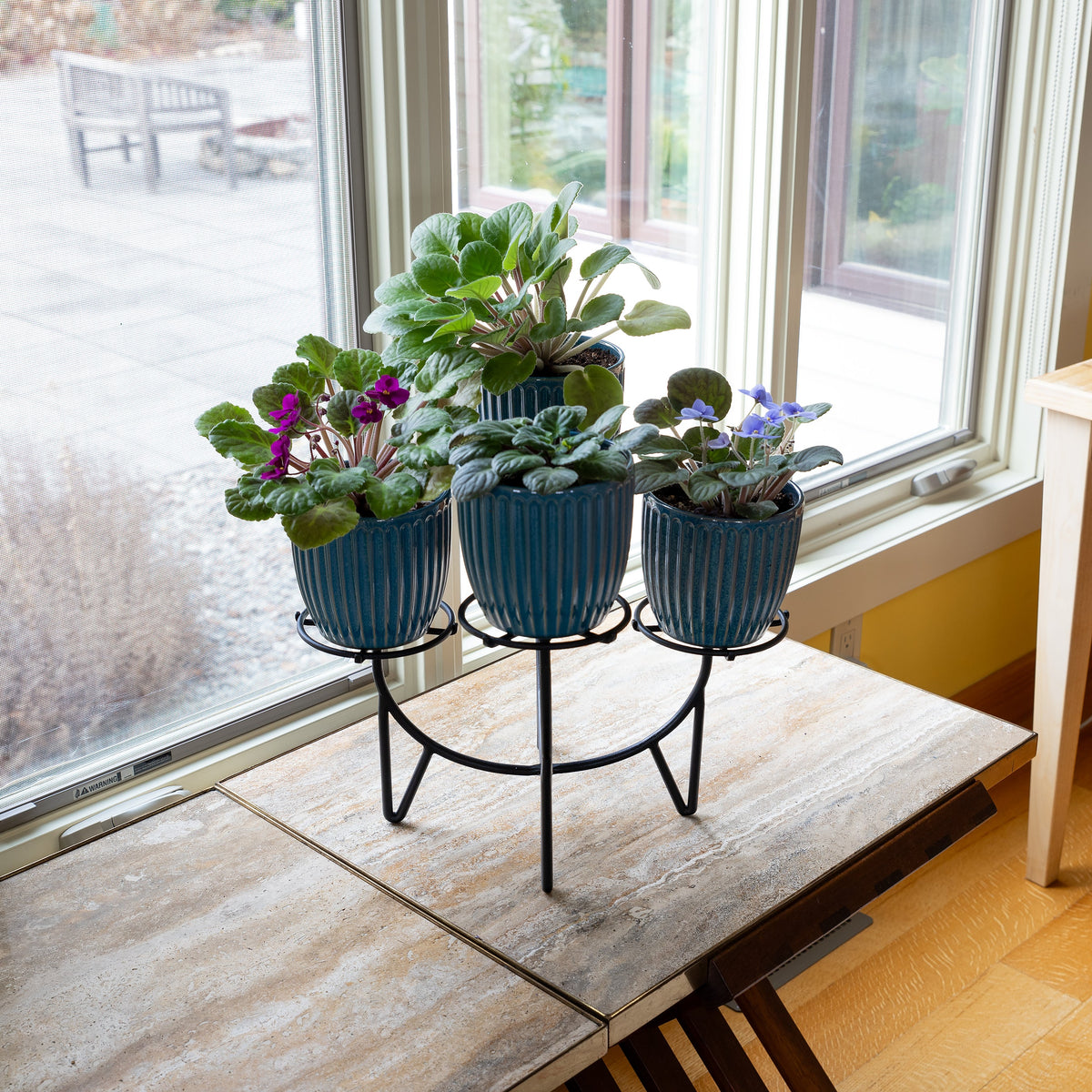 Small Flower Box Tray, Pack of 2 by Achla Designs Achla Designs