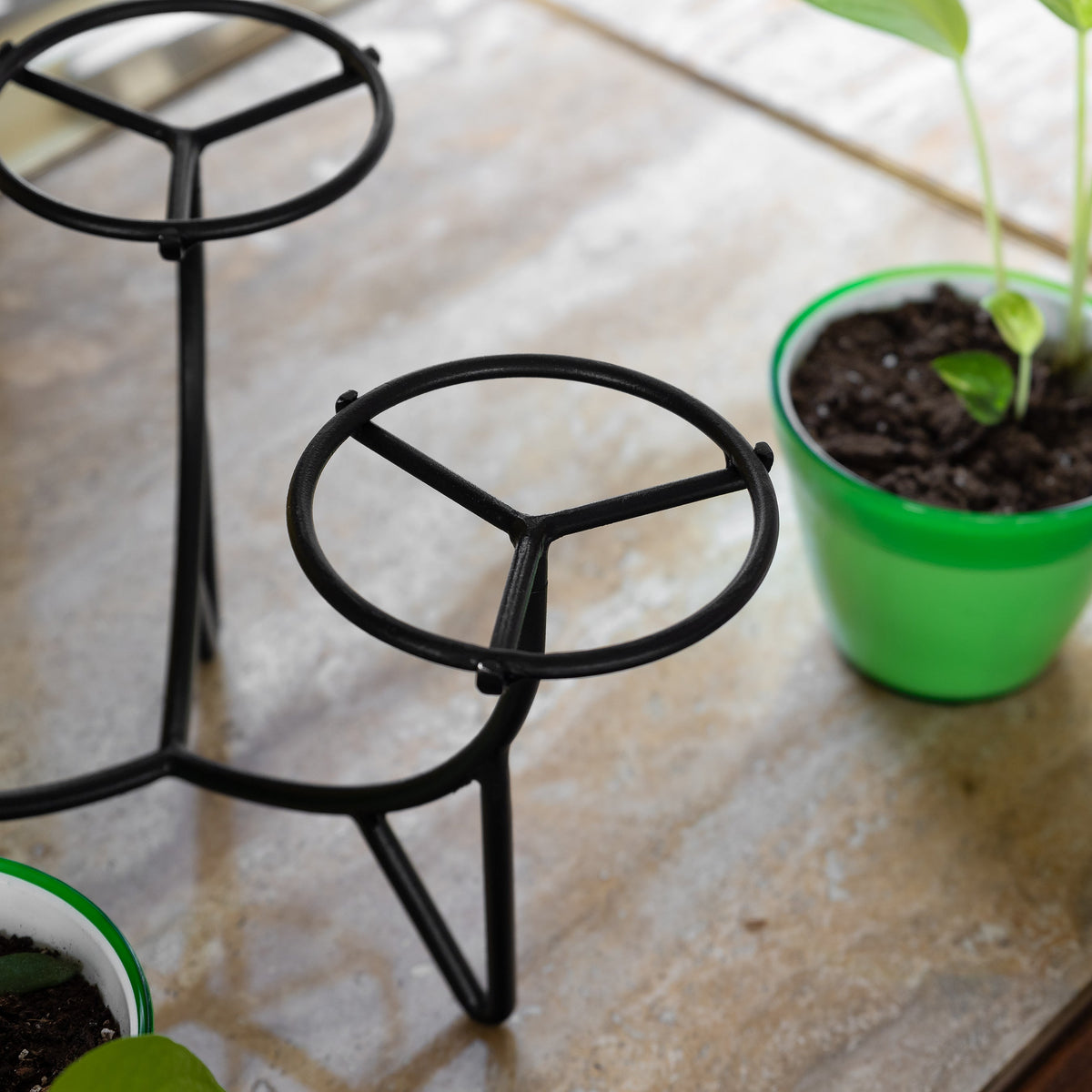 Small Flower Box Tray, Pack of 2 by Achla Designs Achla Designs