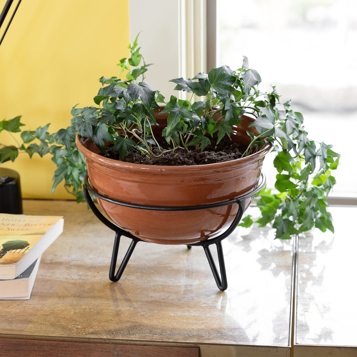 Small Flower Box Tray, Pack of 2 by Achla Designs Achla Designs