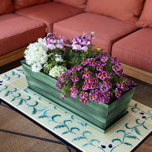 Bloom Box Garden Growing Kit, Medium Green with Wall Brackets Achla Designs