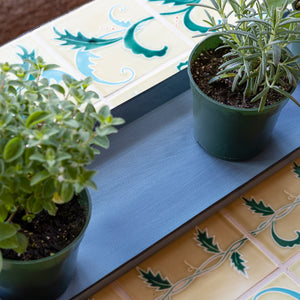 Medium Flower Box Tray, Pack of 2 by Achla Designs Achla Designs