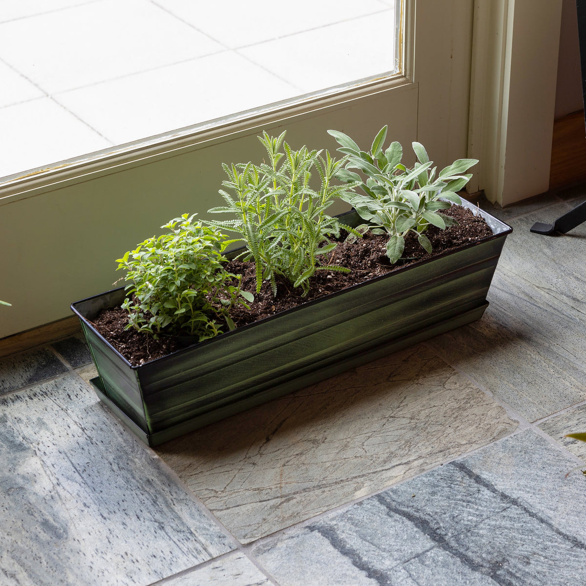 Bloom Box Garden Growing Kit, Medium Nantucket Blue Achla Designs